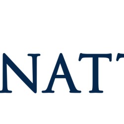Panattoni-logo