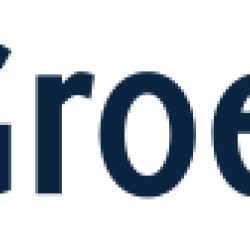 ZMGroep-logo